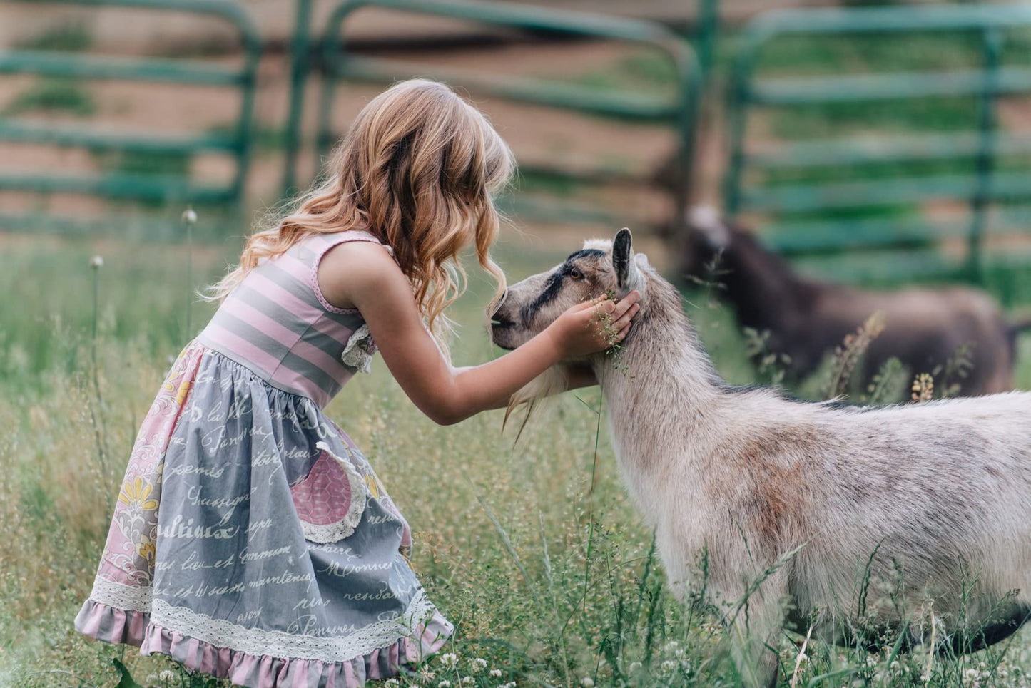 Caprina by Canus Amazing Body Wash With Fresh Canadian Goat Milk Gentle Soap Moisturizing Vitamin A, B2, B3 & More, Original, 16.9 Fl Oz