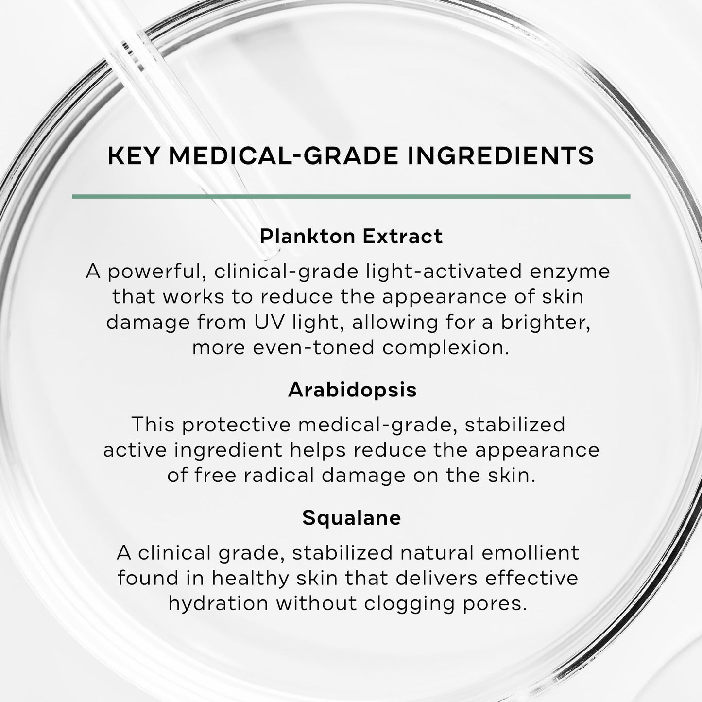 Replenix Age Restore Bio-Repair Serum, Anti-Aging Brightening Face Treatment with Medical-Grade Antioxidants (1.7 oz)