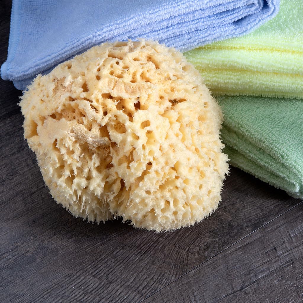Neptune Natural Renewable Sea Wool Sponge, Hand Cut, Large, Approx. 6-7"