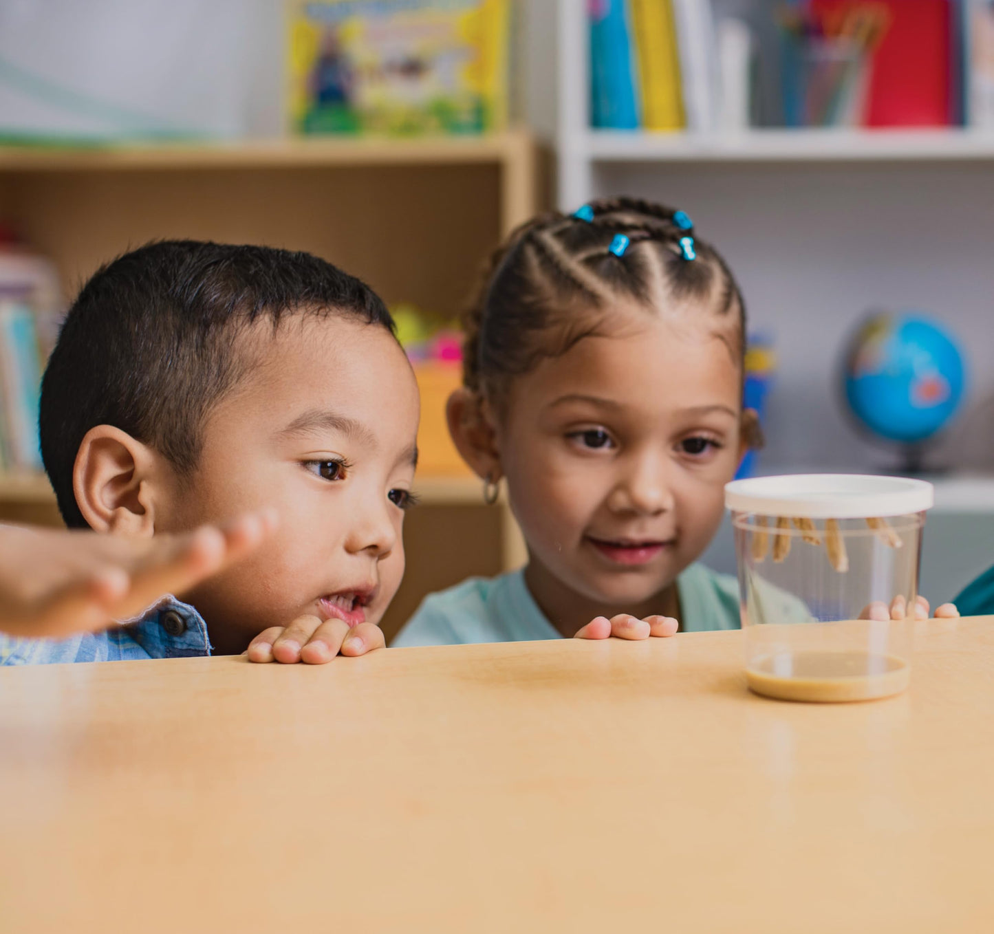 Insect Lore Cup of Caterpillars Basic – 5 Live Painted Lady Caterpillars with Food, Refill Kit for Butterfly Garden, STEM Science Activity for Kids & Classrooms