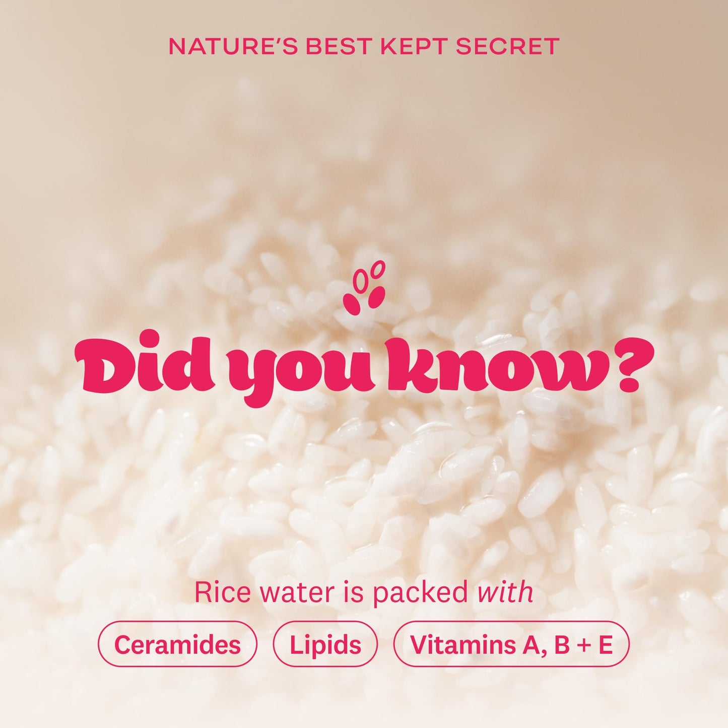 The Face Shop Rice Water Bright Foaming Facial Cleanser with Ceramide, Gentle Face Wash for Hydrating & Moisturizing, Vegan Face Cleanser, Makeup