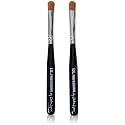 DL Professional French Manicure Clean-Up Brush, 4 Ounce 2-pack Beauty & Personal Care DL Professional