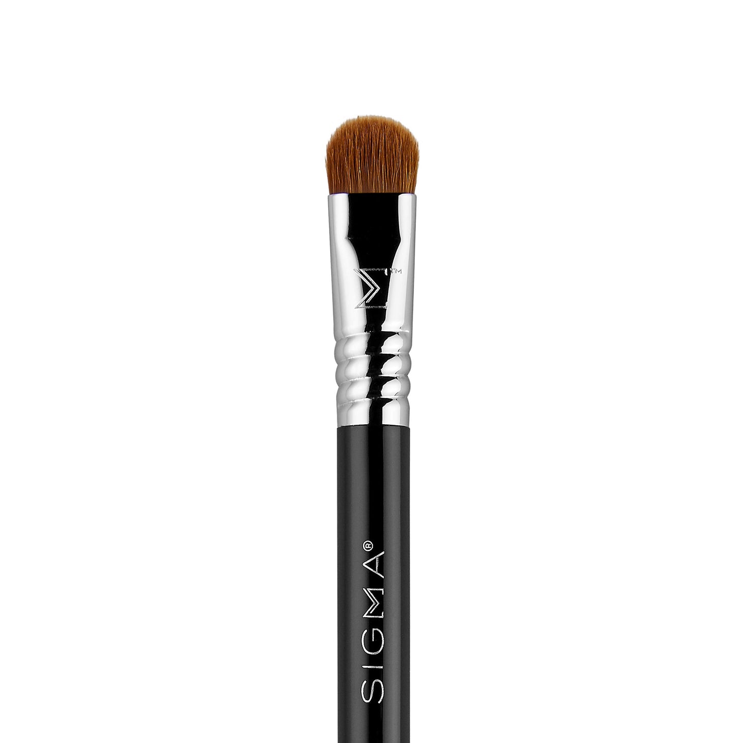 Sigma Beauty Travel Essential Trio - Makeup Brush Set for Foundation Powder Eyeshadow - 3 Tool Brushes with Brush Tin Holder - Skin Safe, Vegan Makeup