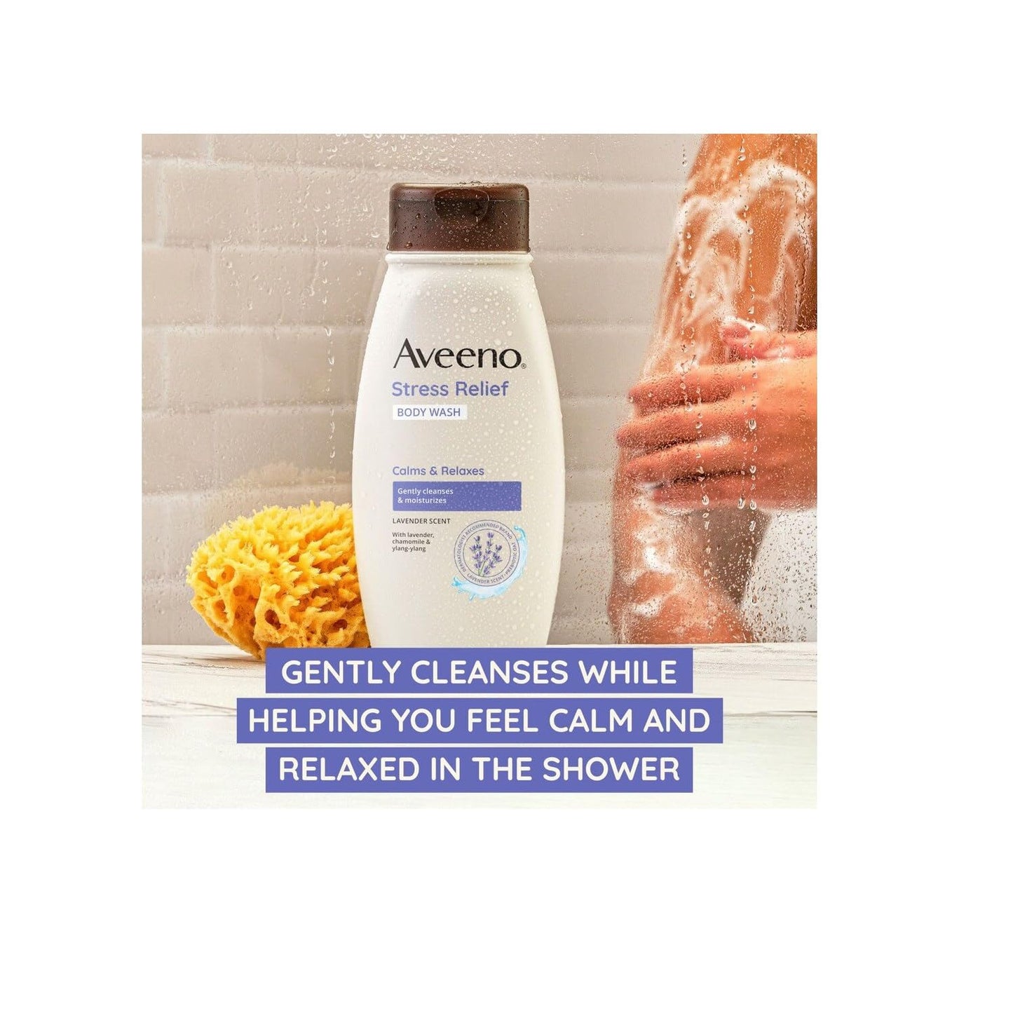 AVEENO Active Naturals Body Wash, Stress Relief 12 oz (Pack of 4)