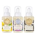 Michel Design Works Mini Foaming Soap 3-Pack Set (Lavender Rosemary, Lemon Basil, Honey Almond)