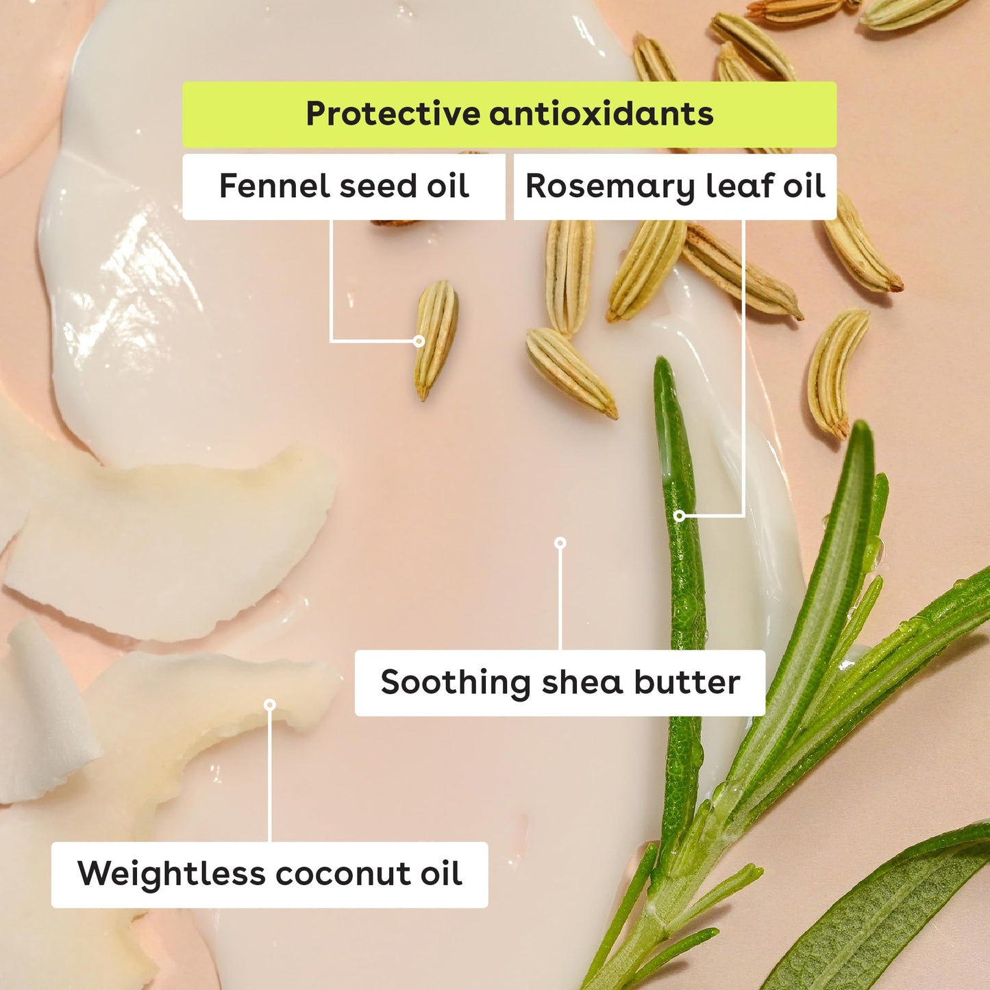 eos Natural Shea Lip Balm- Birthday Cake, All-Day Moisture Lip Care Products, 0.39 oz