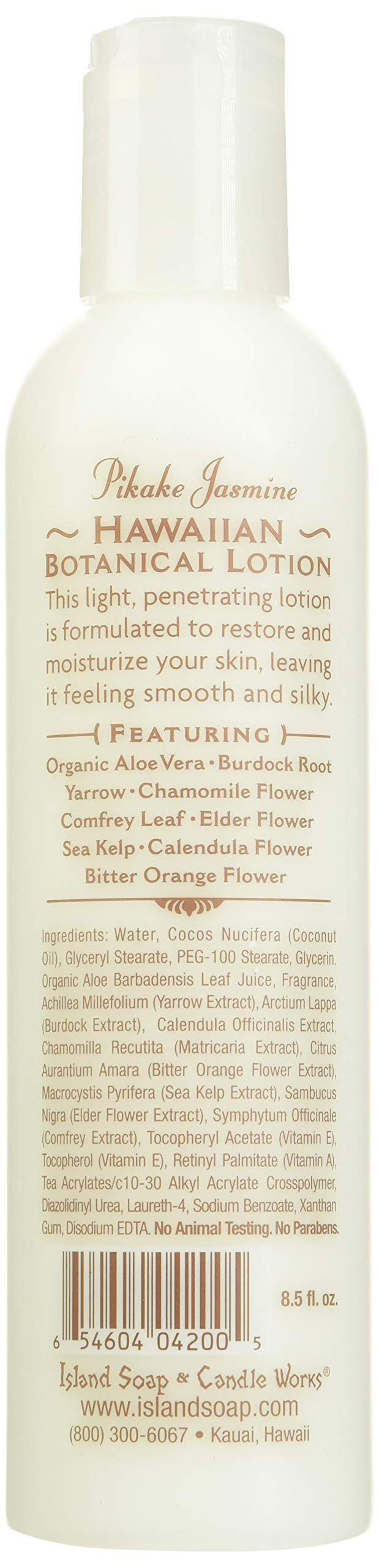 Island Soap & Candle Works Coconut Body Lotion – Hydrating Hawaiian Skincare, Paraben-Free Moisturizer for Men & Women, 8.5 fl oz