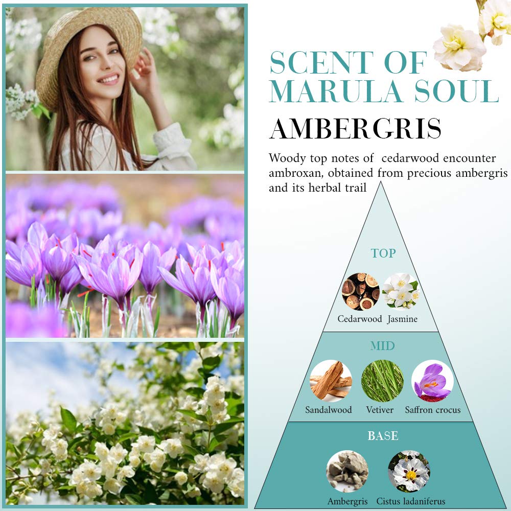 OPPEAL Travel Size Toiletries 3-Piece Set | 1oz Conditioning Shampoo, Body Wash, Facial Soap | Ambergris Scent | 150 Pcs Total | Ample Bulk for Guests