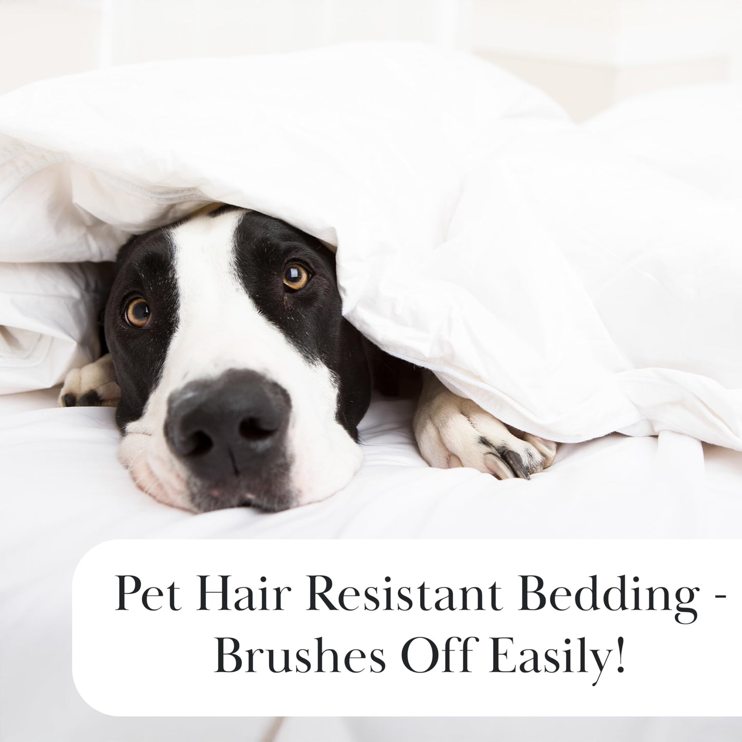 Southshore Fine Living, Inc. King Flat Sheets Only, Oversized Flat Sheet, 132" x 110" Hotel Quality Bedding, California/King Top Sheet Stays Tucked on