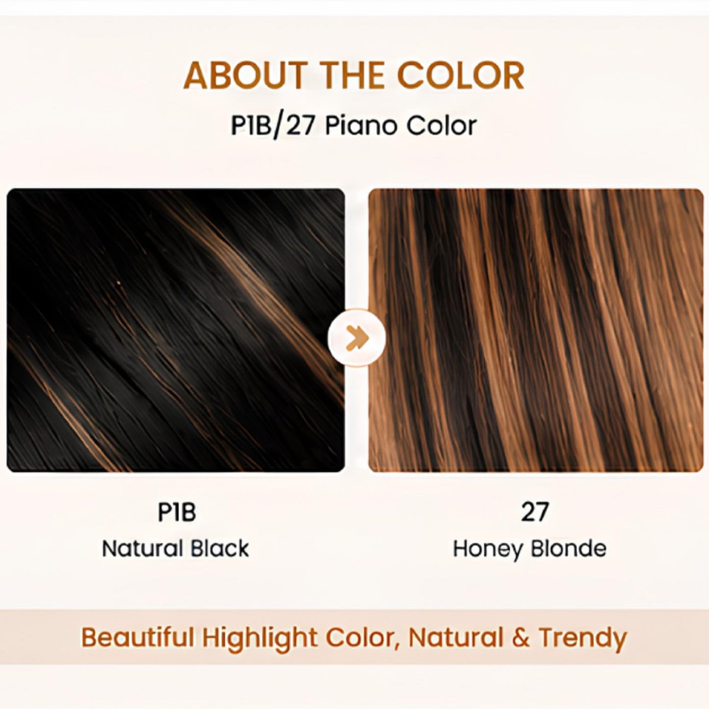 Cypha 1B/27 Ombre Lace Front Wig Human Hair Straight 13x6 HD Lace Frontal Wigs Human Hair Pre Plucked 180% Density Highlight Lace Front Colored Wig Beauty and Personal Care Cypha