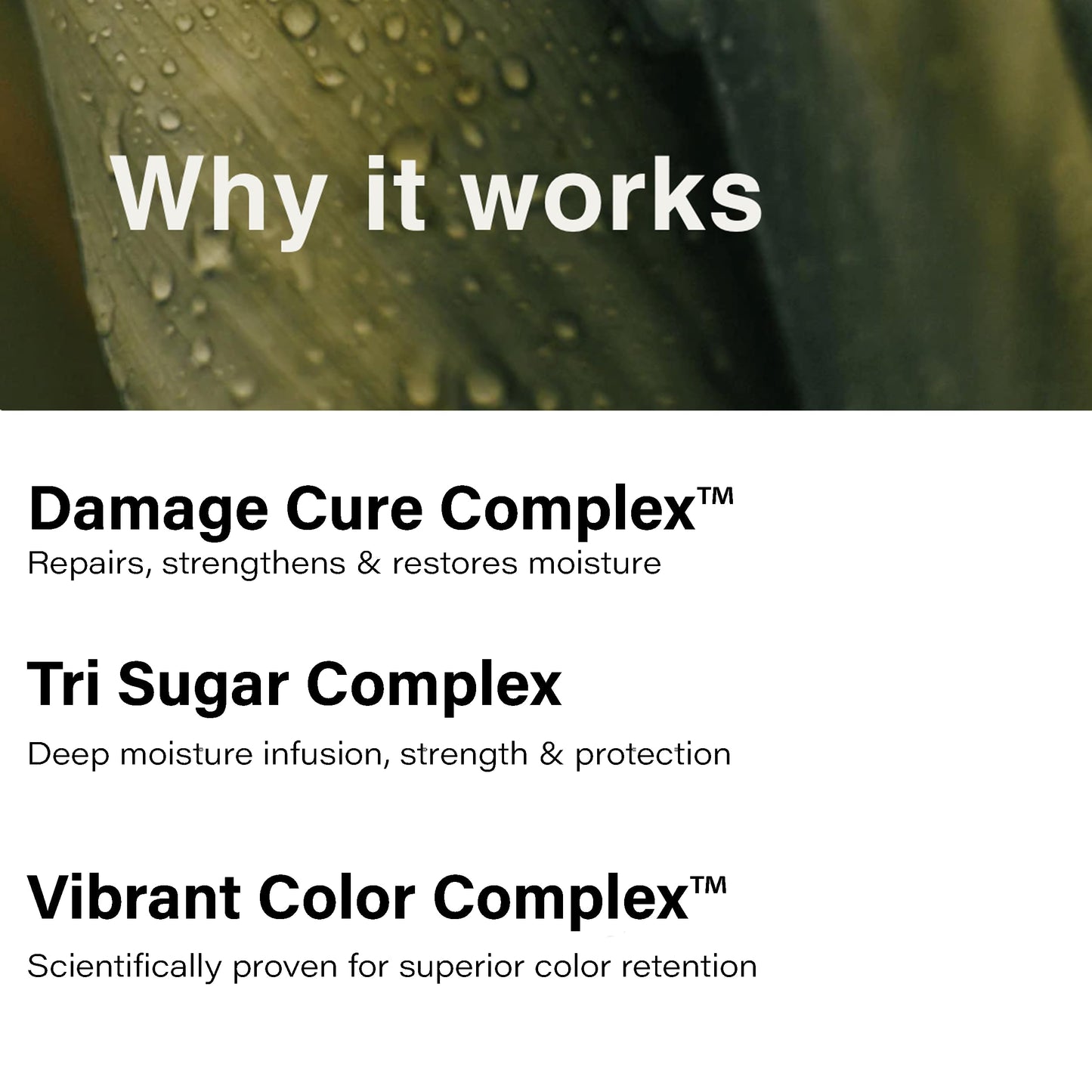 Eufora Beautifying Elixirs Elixirone 4.2oz