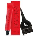 Igora Royal 8-65 Light Blonde Chocolate Gold Permanent Hair Color and M Hair Designs Tint Brush (Bundle 2 items)