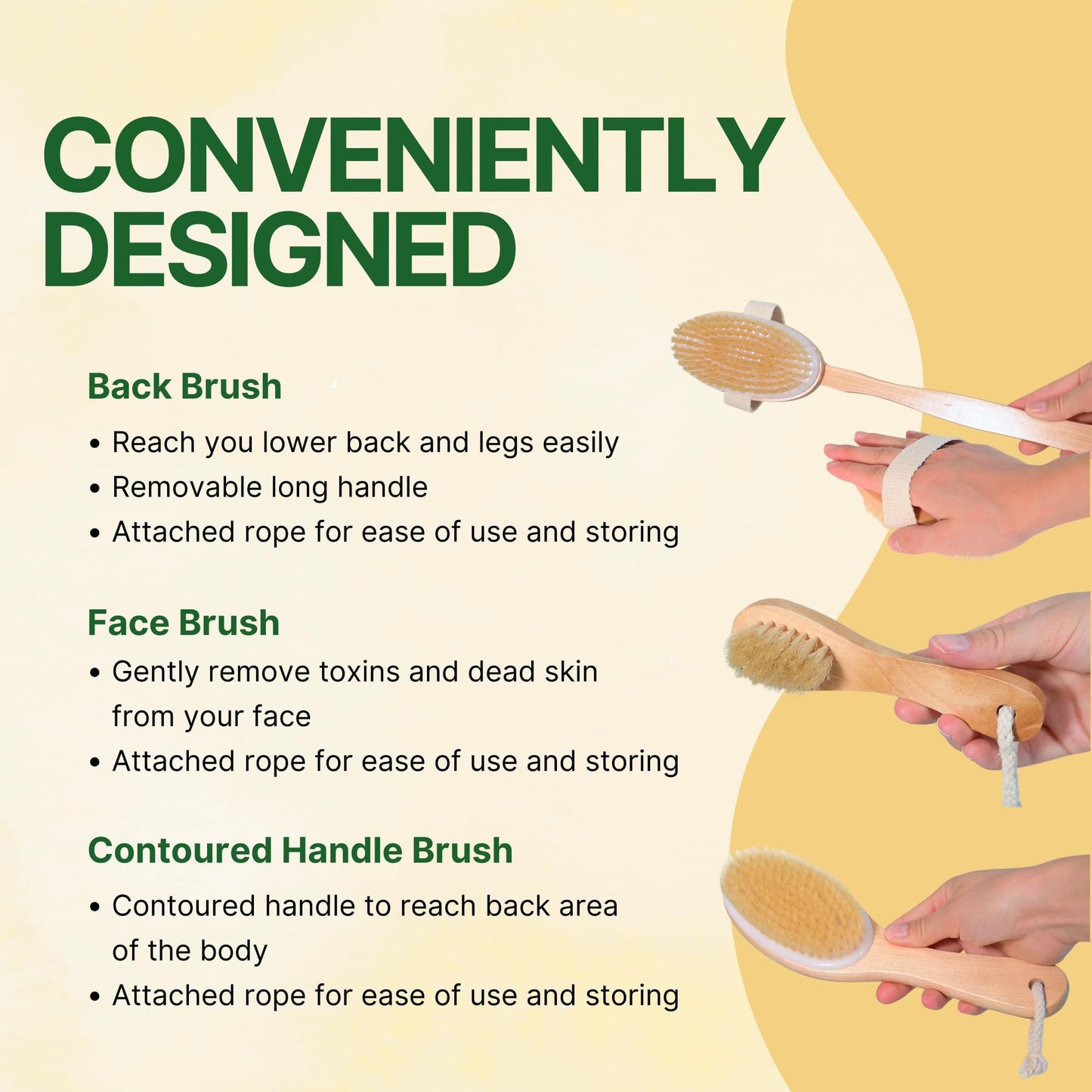 Asani Dry Brushing Body Brush Set for Lymphatic Drainage & Cellulite - 3-Pcs Detachable Back, Contour Body & Face Brushes Organic Gift for Dry Skin