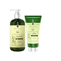 WEILAIYA LUXURY ZINGIBER DETOX SHAMPOO/CONDITIONER