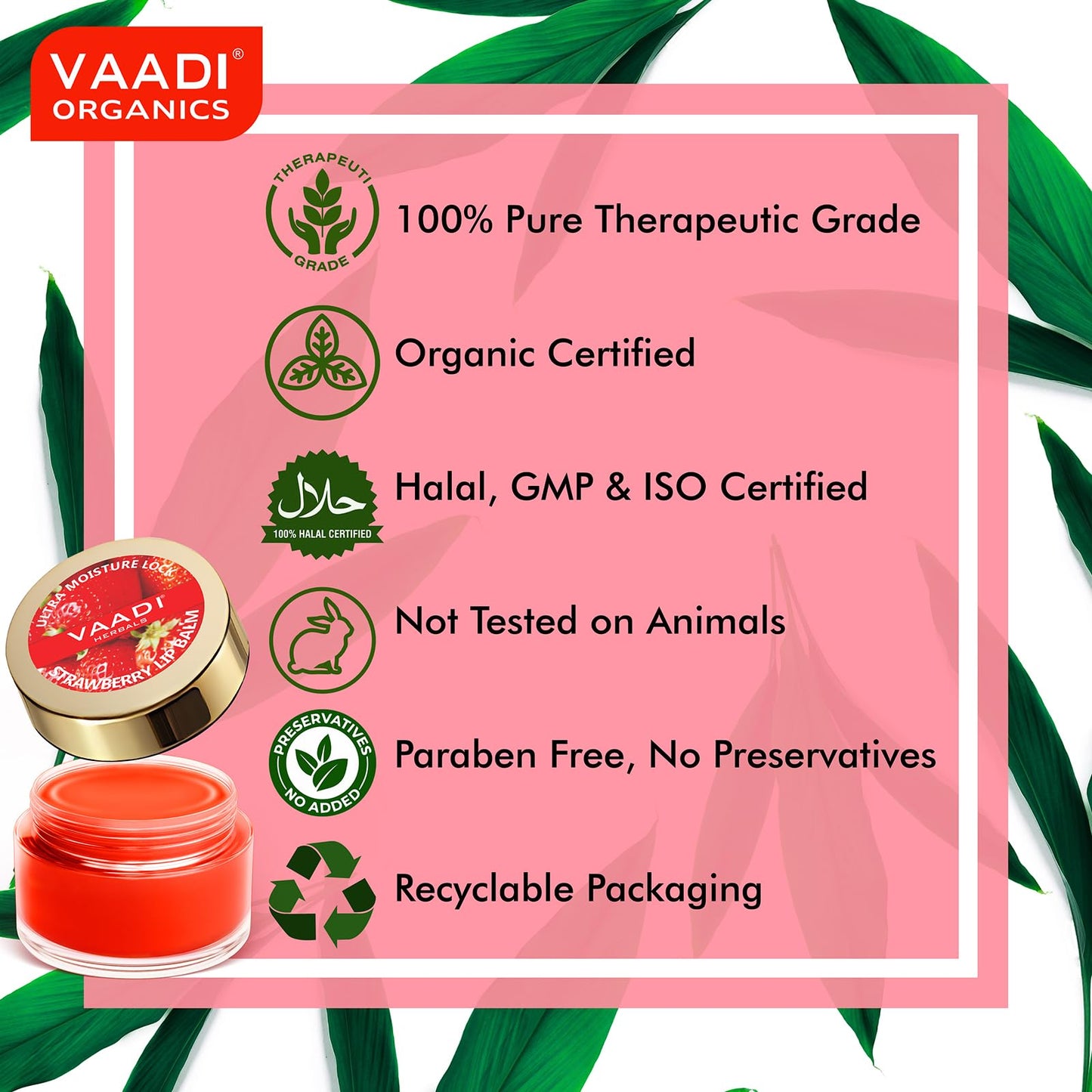 Vaadi Herbals Lip Balm, Strawberry and Honey, 10g (Pack of 4) Beauty and Personal Care Vaadi Herbals