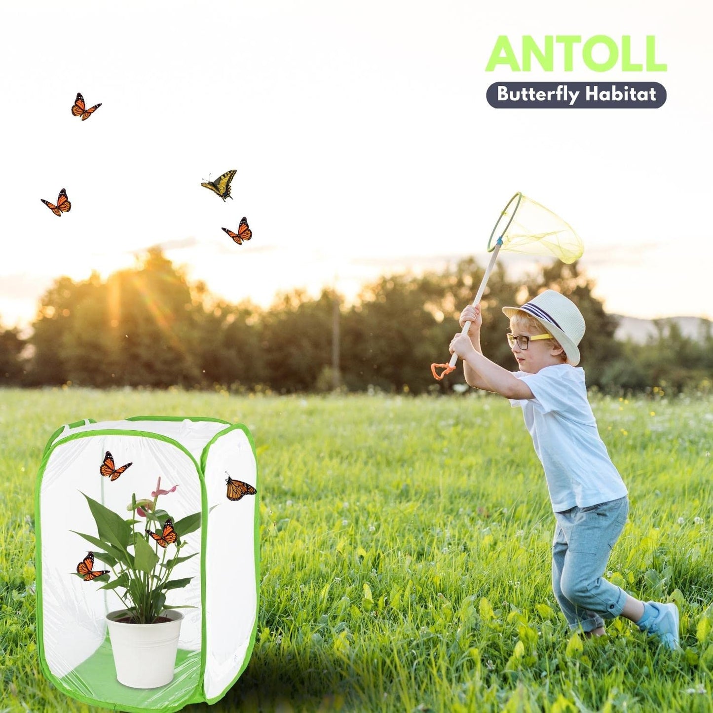 Antoll 3-Pack 24" Green Butterfly Habitat Cage – Monarch & Caterpillar Mesh Enclosure, Pop-Up Insect Observation Cage 16