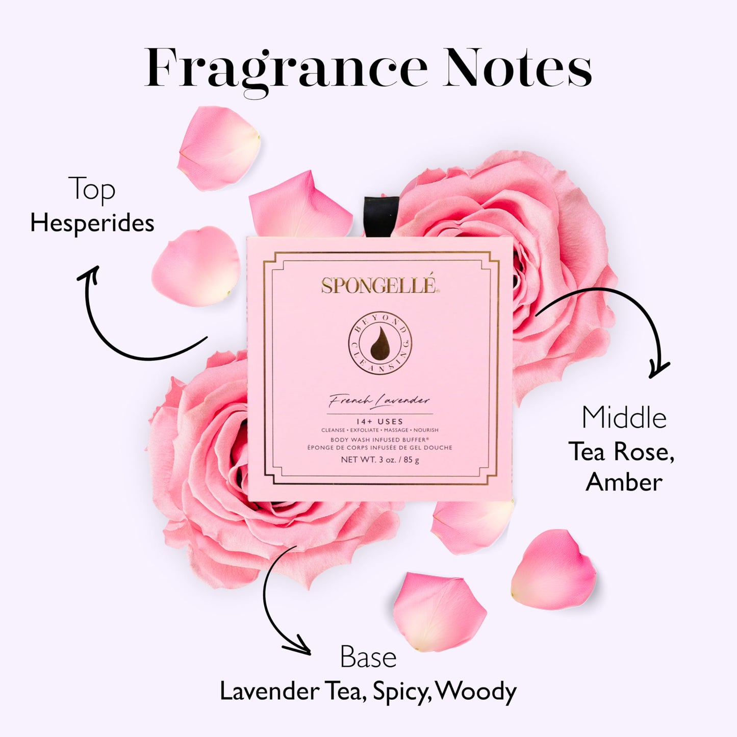 Spongellé French Lavender Wild Flower Bath Sponge with Box for Mothers Day Gift - Built-in Body Wash & Body Scrubber, Shower Loofah Sponge for Women Beauty and Personal Care SPONGELLÉ