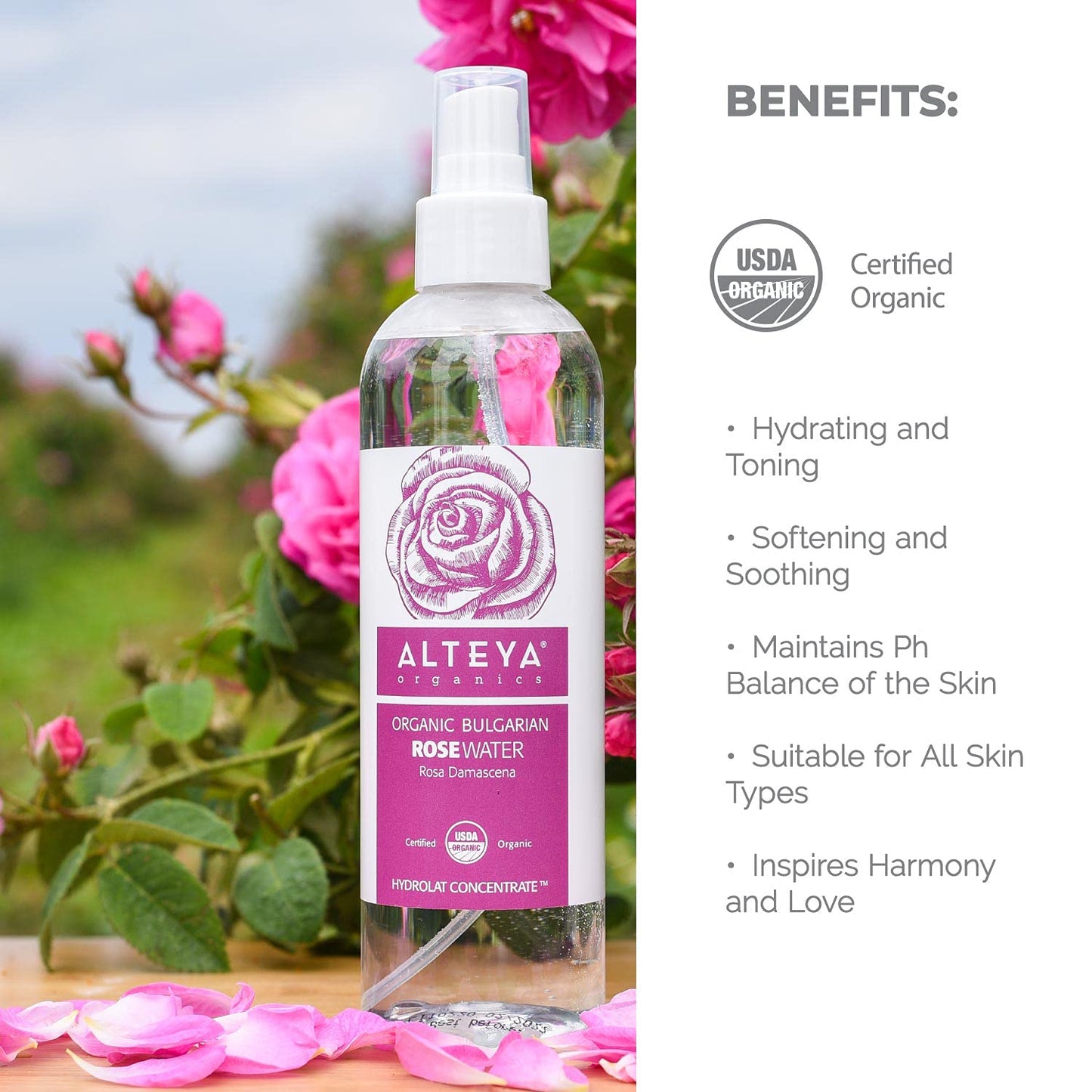 Alteya Organics Rose Water USDA Certified Organic Facial Toner, 8.5 Fl Oz/250mL Pure Bulgarian Rosa Damascena Flower Water, Award-Winning Moisturizer