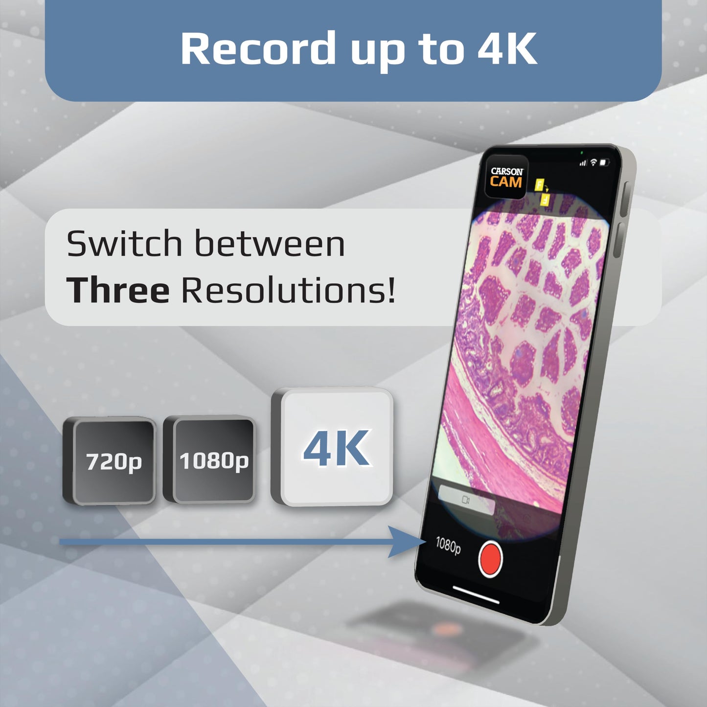 Carson MicroBrite Plus 60x-120x LED Pocket Microscope – Mini Handheld STEM Toy for Students & Science Labs (MM-300)