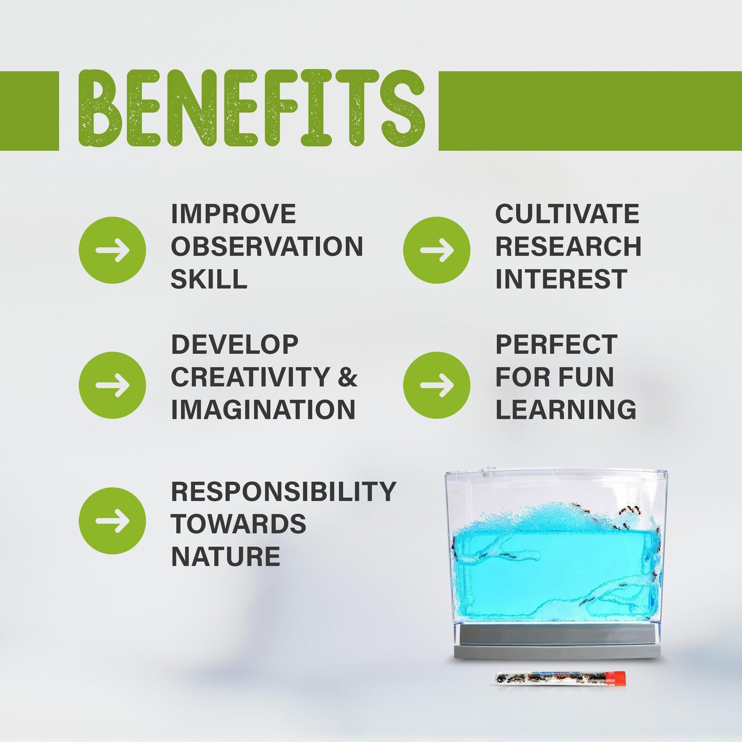 Ant Habitat Kit with 25 Live Ants Shipped Now - Ant Terrarium Complete Set with Clear Nutrient Gel - Perfect for Learning and Fascinating Observation