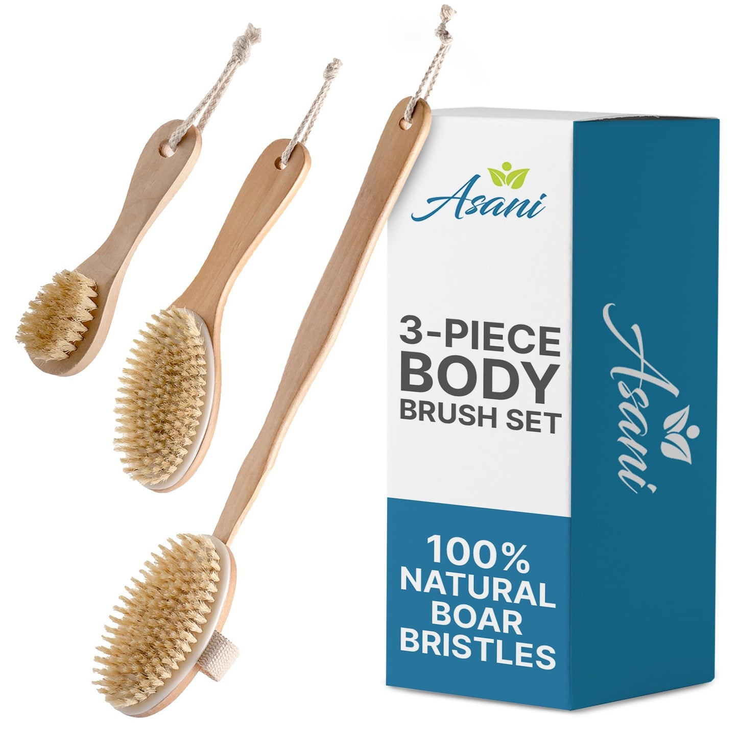 Asani Dry Brushing Body Brush Set for Lymphatic Drainage & Cellulite - 3-Pcs Detachable Back, Contour Body & Face Brushes Organic Gift for Dry Skin