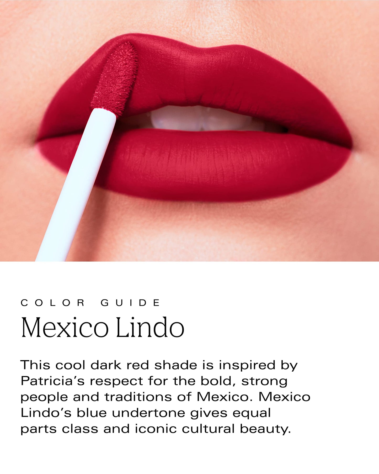 PDL Cosmetics Bold Aspirations Liquid Lipstick (Mexico Lindo) | Highly Pigmented Smooth Matte Finish | Blue-Red Tone | Long Lasting, Non-Transfer