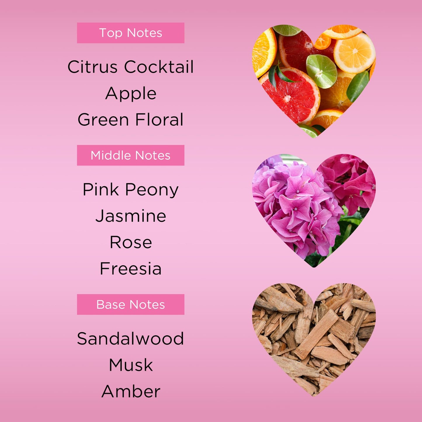 Bebe Sheer Eau de Parfum Spray for Woman - Long Lasting Amber Floral Womens Fragrance - Notes of Citrus Cocktail, Pink Peony and Sandalwood Perfume