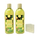 Bath & Body Works Fruity Infusion 2-Pack Moisturizing Shampoo Bundle with a Natural Oats Sample Soap