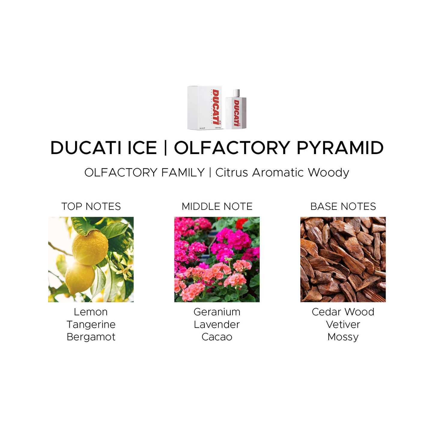 Ducati Ice by Ducati - Deodorant Spray for Men - Woody Aromatic Scent - Opens with Tangerine, Lemon and Bergamot - Blended with Lavender and Sage Beauty and Personal Care Ducati
