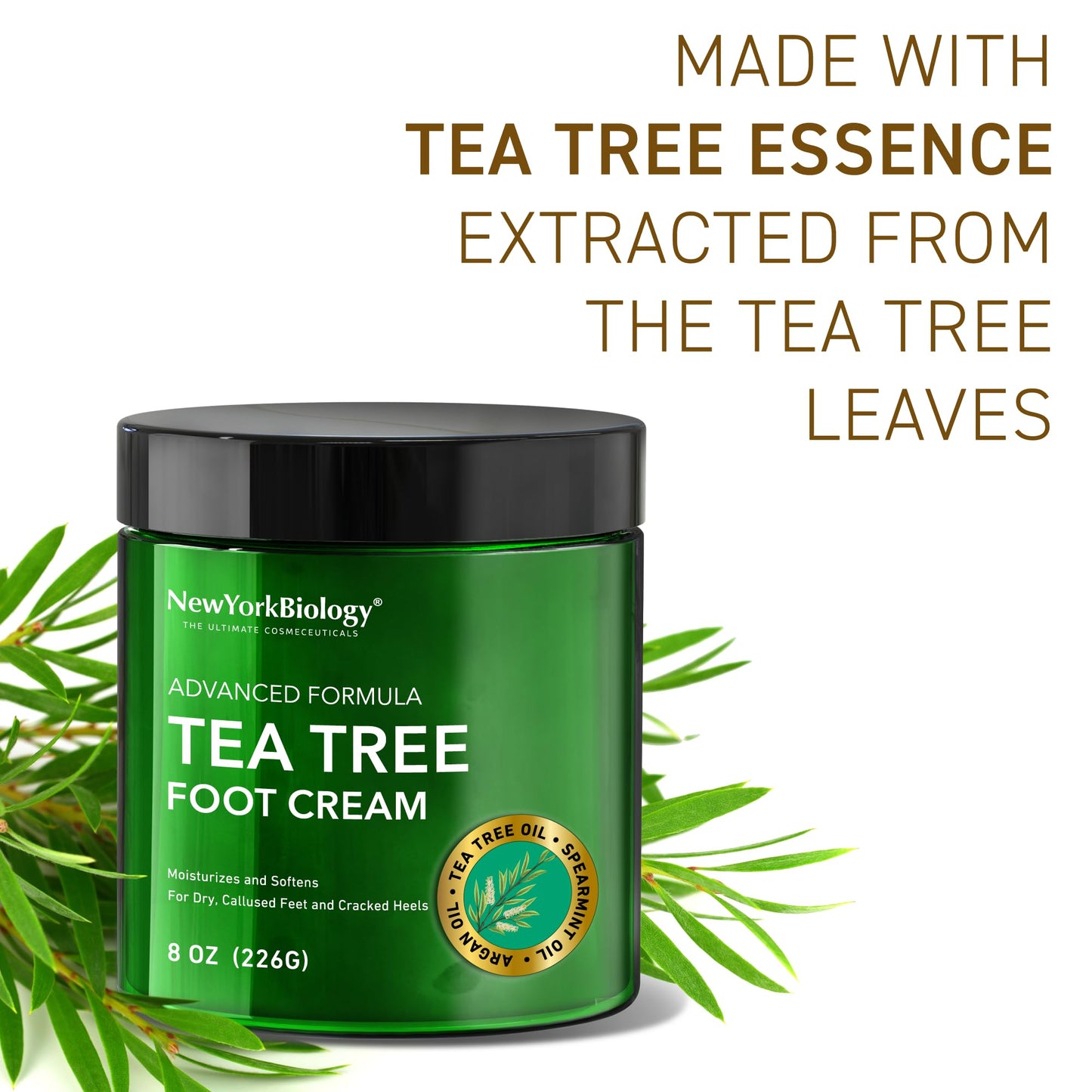 New York Biology 42% Urea Cream with 2% Salicylic Acid - Moisturizing Urea Foot Cream for Dry Heels, Rough Feet and Dead Skin - 5.3 oz Beauty and Personal Care NEW YORK BIOLOGY THE ULTIMATE COSMECEUTICALS