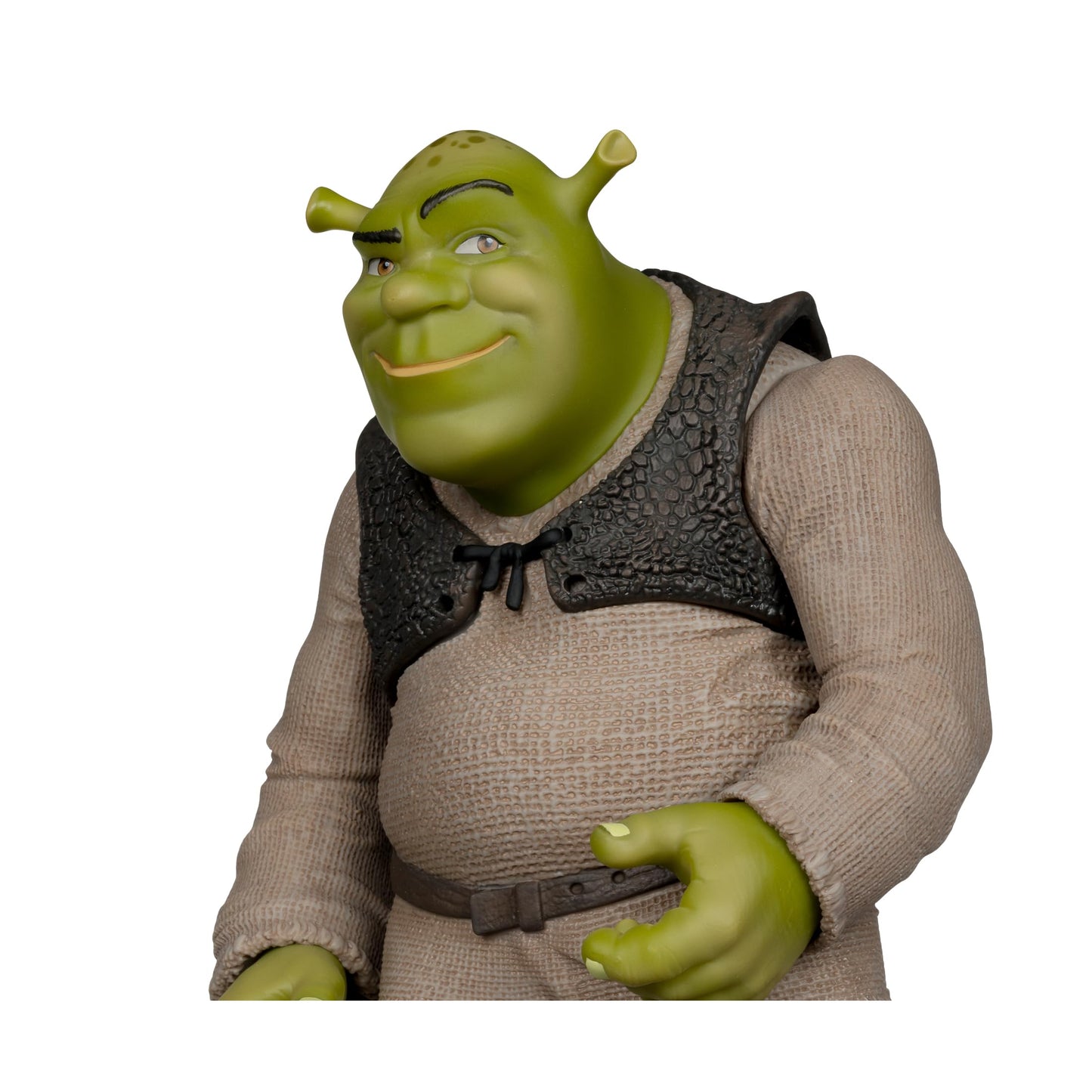 NBC/Unv 12In Posed - Shrek (Mcfarlane Digital)