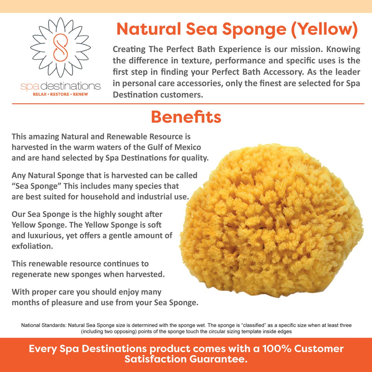 Natural Sea Sponge 6-7" by Spa Destinations Creating The At-Home Spa Experience Beauty and Personal Care Spa Destinations