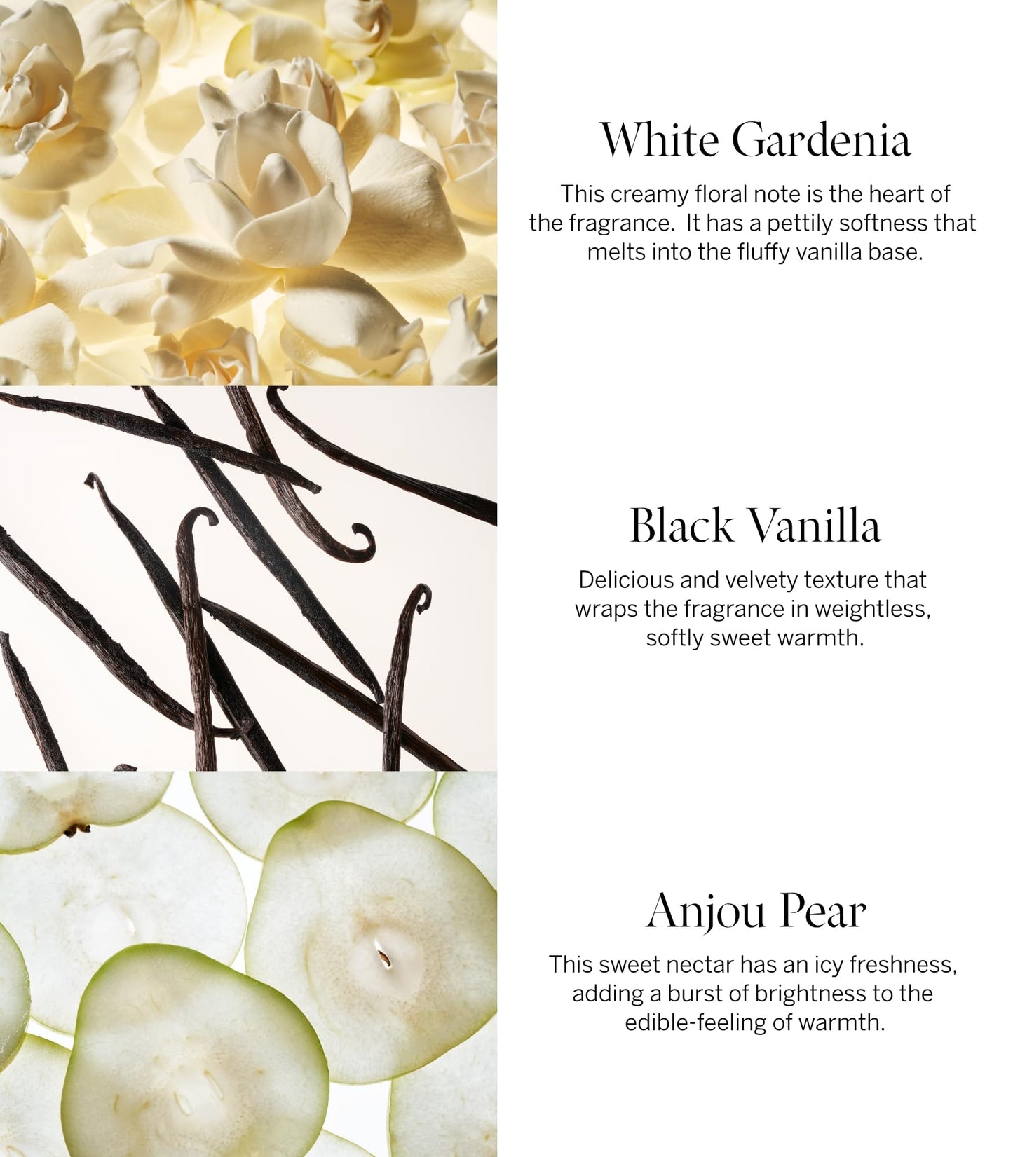 Victoria's Secret Tease Fine Fragrance 8.4oz Mist