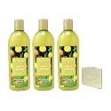 Bath & Body Works Fruity Infusion - 3 Pack Of Moisturizing Shampoo with a Natural Oats Sample Soap