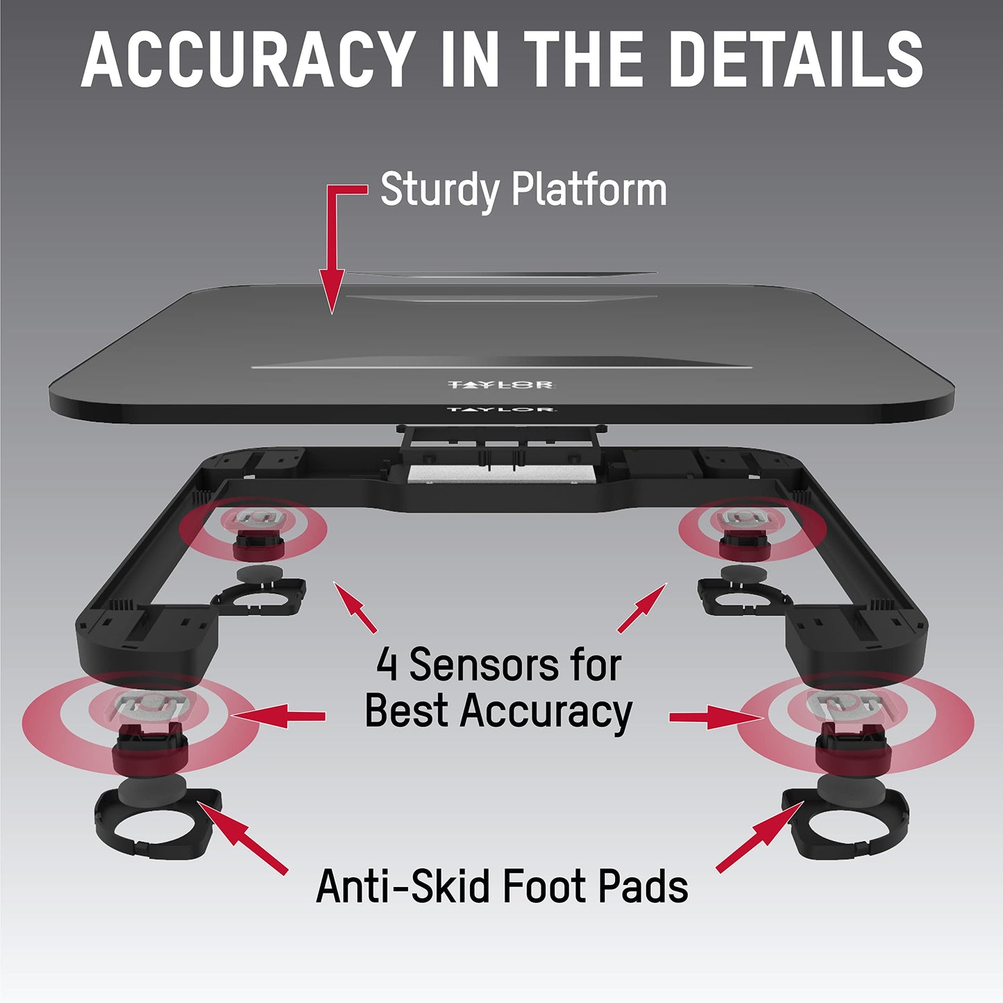 Taylor Digital Glass Bath Scale for Body Weight, 11.8 x 11.8 Inch Durable Glass Platform, Stainless Steel Accents, Scale with Step-On Technology, 400…