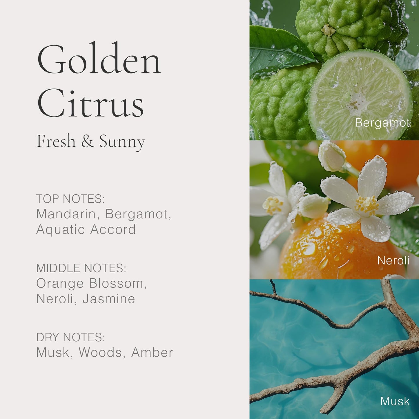 CLEAN H2EAU Golden Citrus 0.34 Fl Oz