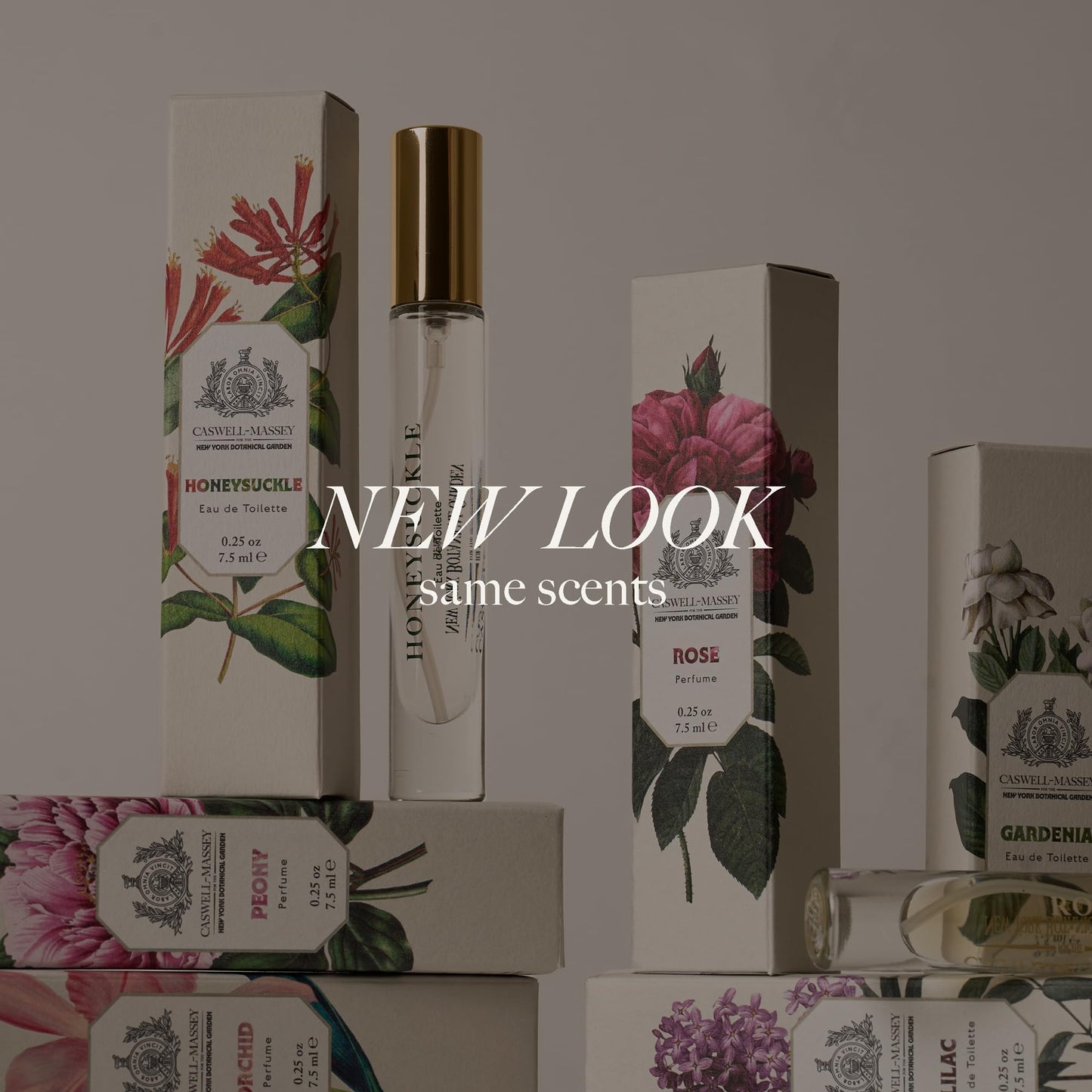 Caswell-Massey Rose Perfume Spray, Classic Floral for Women with Wild Fig, Currant, and Rose, Made in USA, 0.25 Oz
