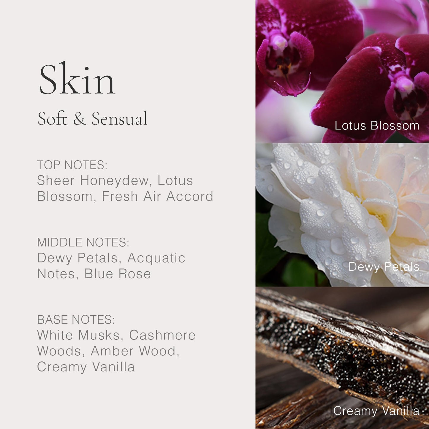 CLEAN CLASSIC Skin 30mL