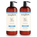 Soapbox Argan Oil & Vanilla Shampoo & Conditioner Set, Leaves Hair Smooth & Controls Frizz - Clean Ingredients Free of Harsh Chemicals, Sulfates
