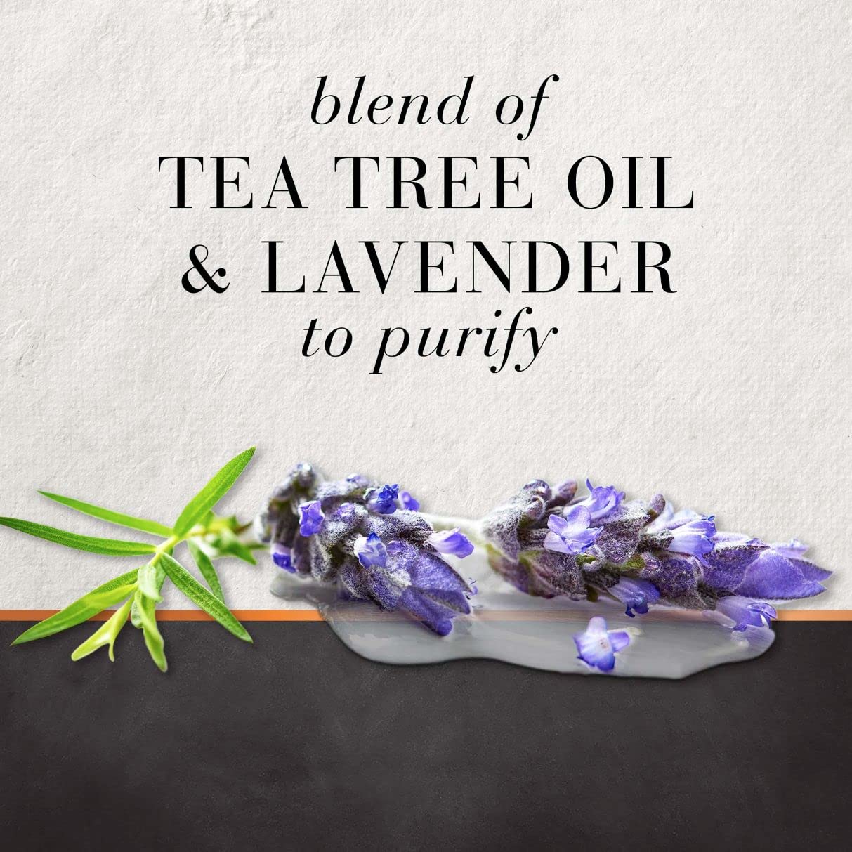 HAIR FOOD Tea Tree & Lavender Water Hair Conditioner 10.1 fluid Ounce (300ml)