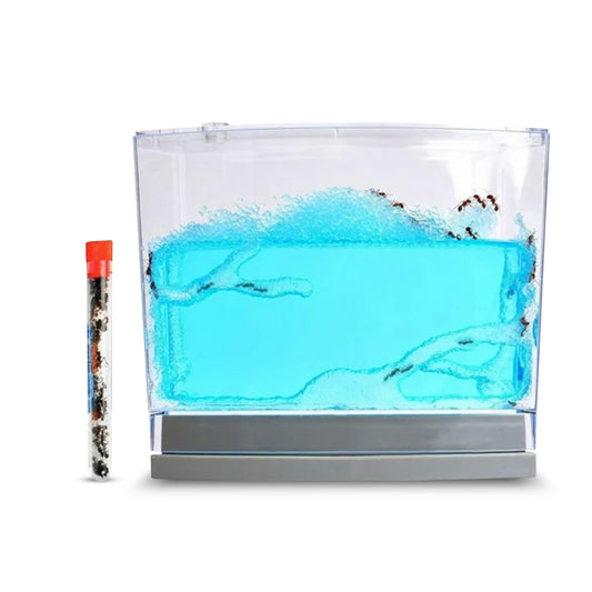 Ant Habitat Kit with 25 Live Ants Shipped Now - Ant Terrarium Complete Set with Clear Nutrient Gel - Perfect for Learning and Fascinating Observation