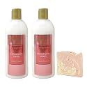 Bath & Body Works Champagne Toast 2 Pack Conditioner Bundle with a Himalayan Salts Springs Sample Soap - Full Size