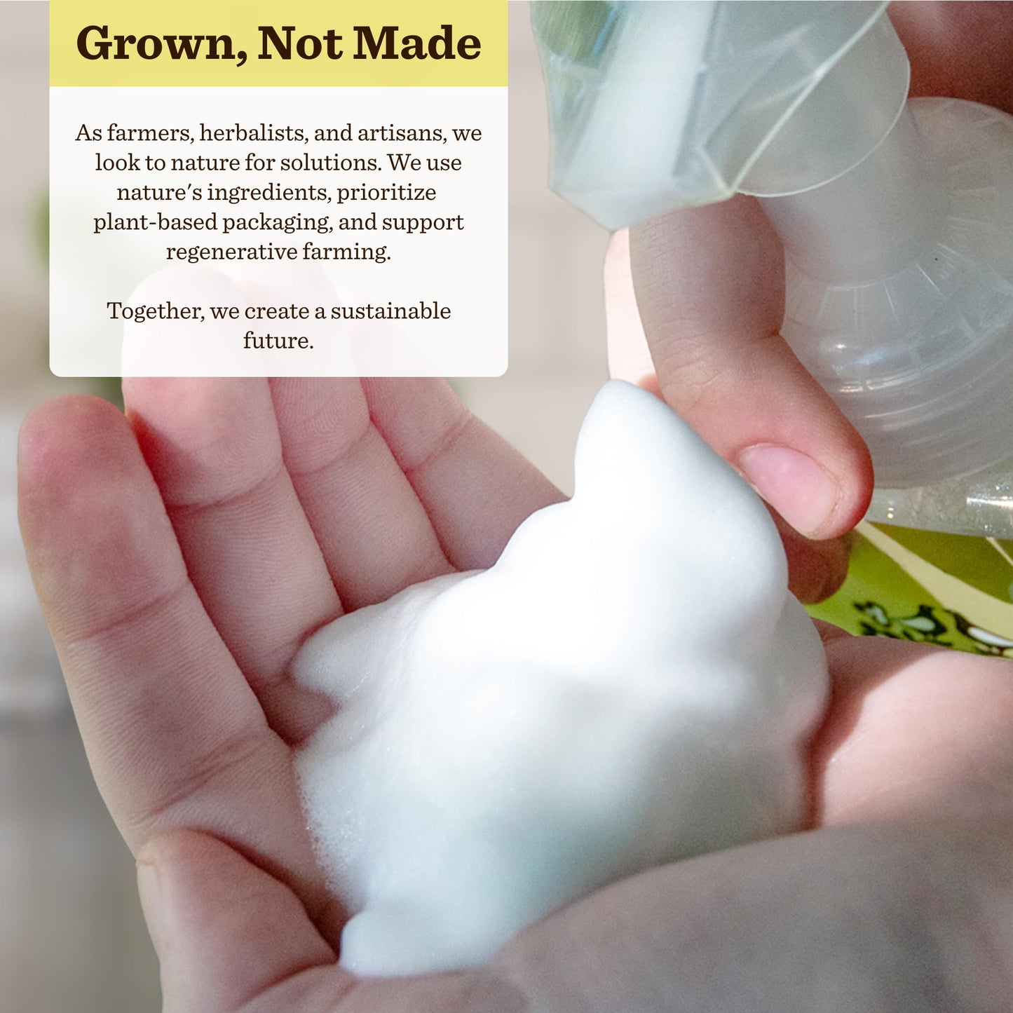 Moon Valley Foaming Hand Soap Refill Pouch, Two-Pack Lemon Rosemary Soap, Vegan and Non-GMO, Environmentally Friendly Option Beauty & Personal Care Moon Valley Organics