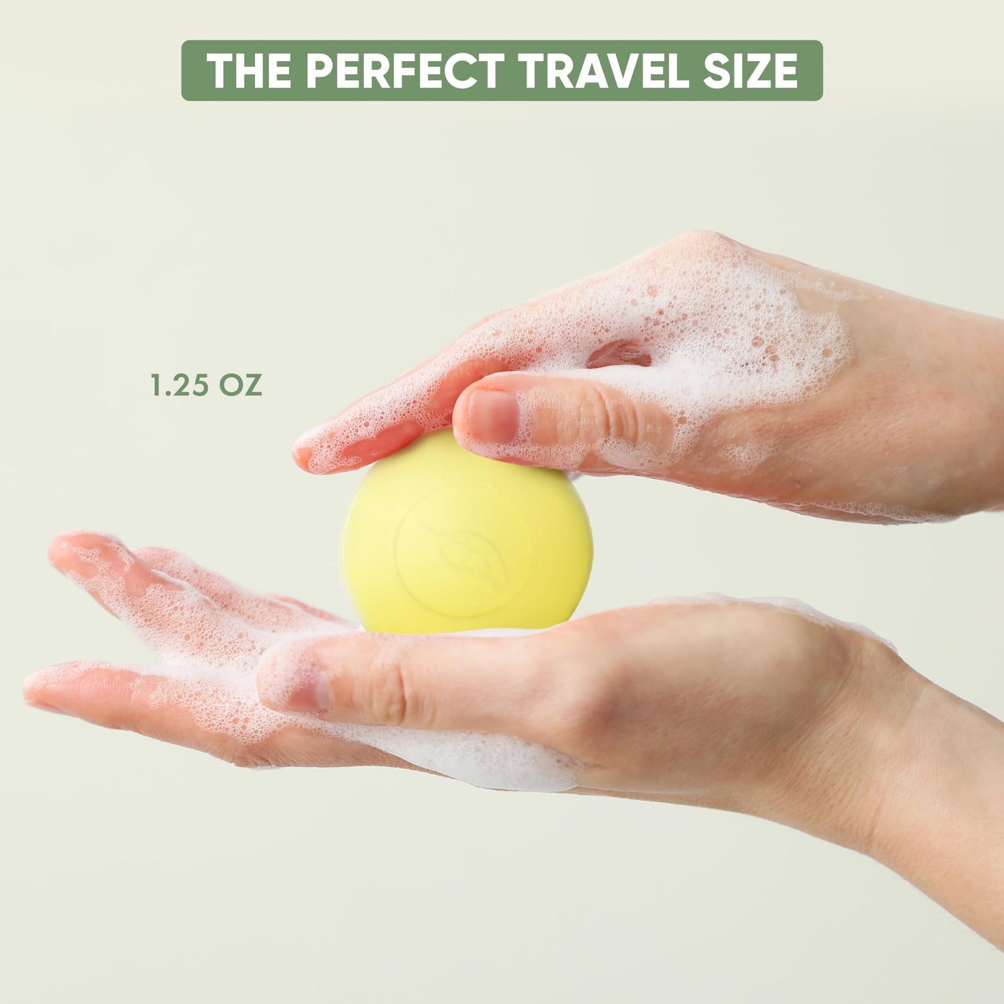 Terra Pure Bar Soap 1.25 oz Travel Size Body Bars | Individually Wrapped Bulk 350 Pack | Green Tea with Aloe & Olive Oil | Paraben Free Guest Beauty & Personal Care Terra Pure