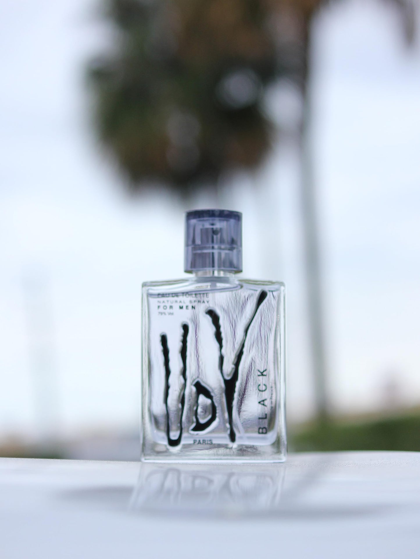 Ulric De Varens BLACK - Eau De Toilette for Men - Modern, Classic, Citrusy Scent - Woody, Adventurous Notes of Bergamot, Green Apple, White Flower