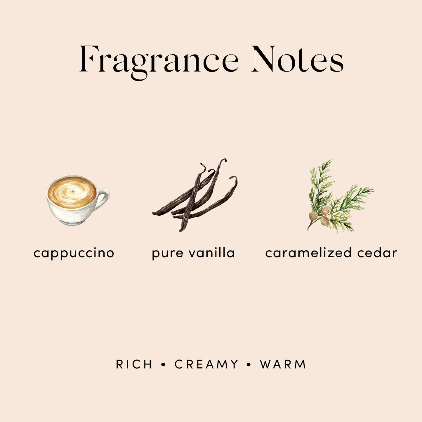 Vanilla Sky Perfume By Skylar - Travel-Sized Rollerball - Paraben-Free, Phthalate-Free, Vegan,and Cruelty-Free Fragrance - Rich, Warm, Creamy - Notes Beauty & Personal Care Skylar