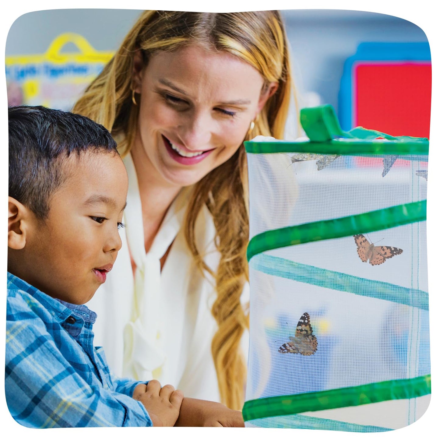 Insect Lore Butterfly Garden Kit – STEM Live Butterfly Growing Habitat with Caterpillars & Voucher, Educational Kit for Kids, Classrooms & Homeschool