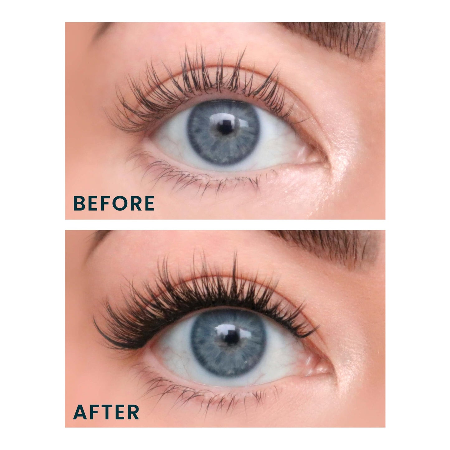 FlutterHabit The Bestie Lashes, 2 Sets of Eyelashes, DIY Lash Extensions, Up to 10 Day Lash Wear, Salon Quality Cluster Eyelashes for a Natural Look…