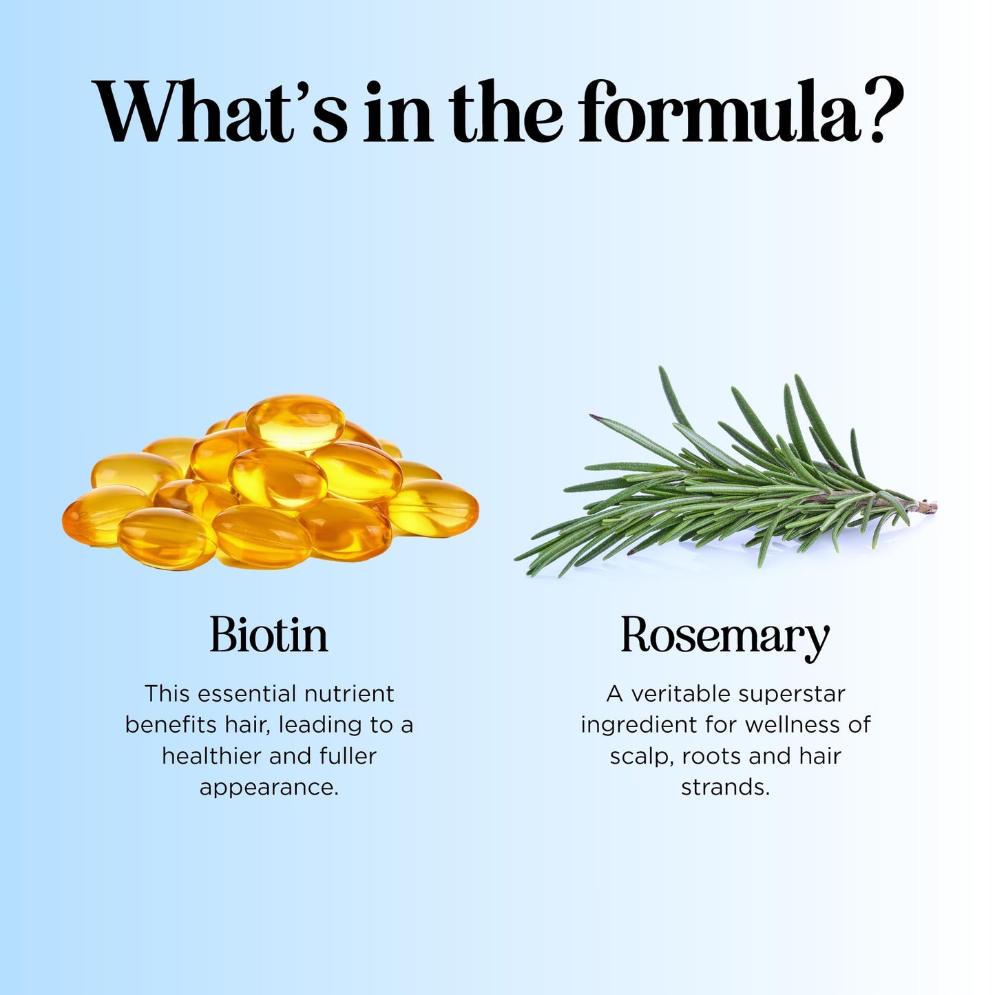 Rosemary and Biotin Shampoo for Thinning Hair - Vegan Volumizing Shampoo for Fine Hair with B Vitamins Argan Oil & Tea Tree Essential Oil - Paraben Beauty and Personal Care Maple Holistics