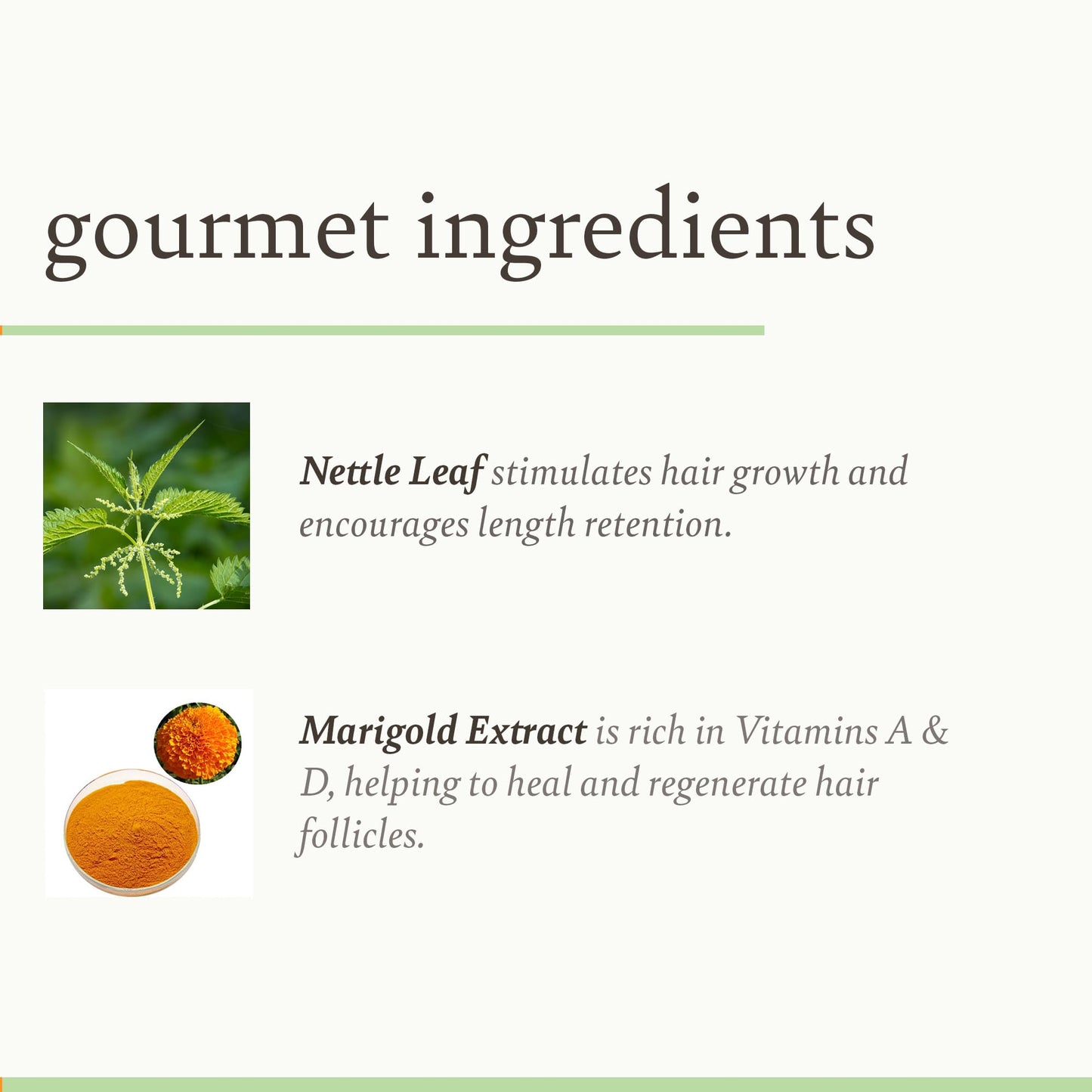 Camille Rose Herbal Tea leave in Hair Oil, with Jojoba and Lavender to Seal Moisture and Soften Strands, for all Hair Types, 9 fl oz